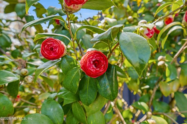 926 6TH Avenue N, Jacksonville Beach, FL 32250