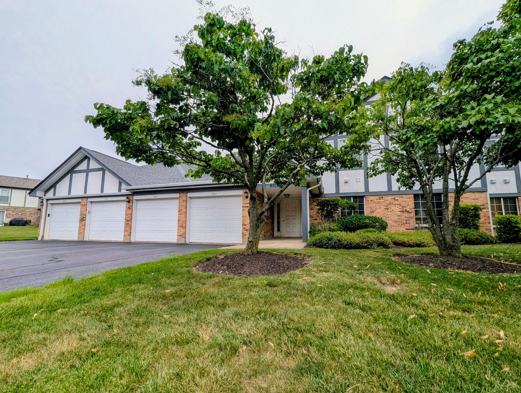 9318 Montgomery Drive 9318, Orland Park, IL 60462