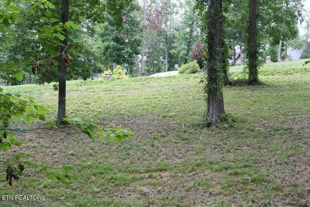 Lot 6 Cypress Drive, Dandridge, TN 37725