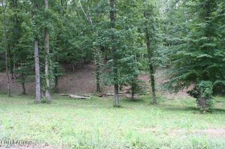 Lot 6 Cypress Drive, Dandridge, TN 37725