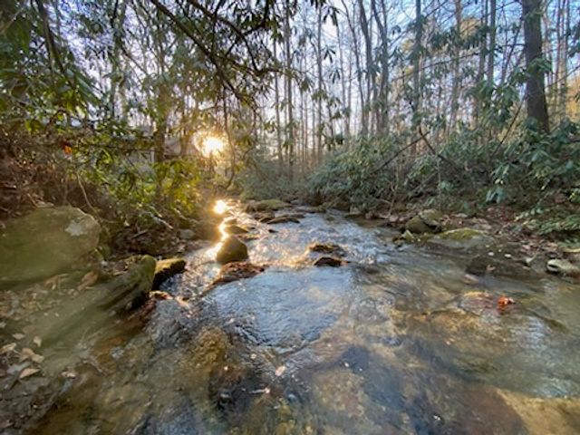 401 Rocky Bottom Road, Sunset, SC 29685