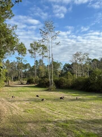 0 Mark Dr., Saucier, MS 39574