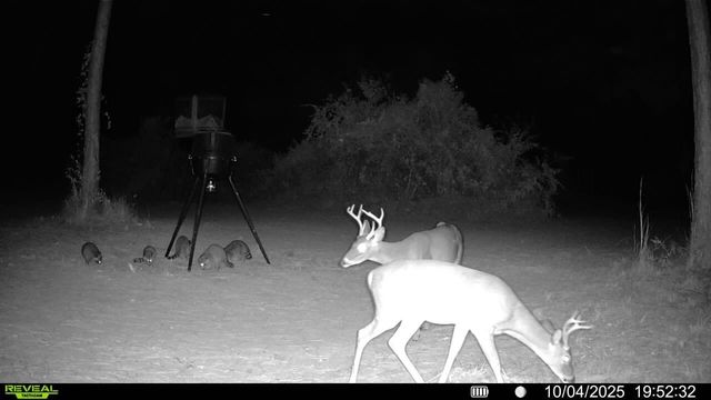 0 Mark Dr., Saucier, MS 39574