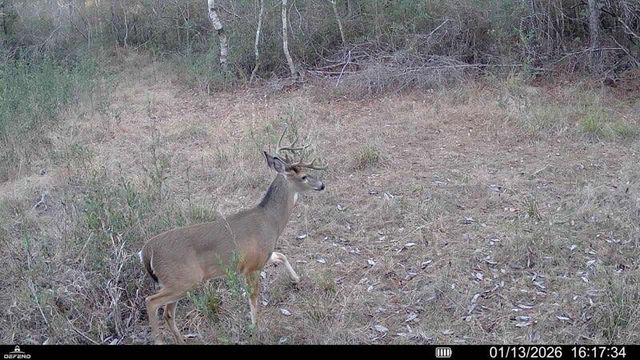 0 Mark Dr., Saucier, MS 39574