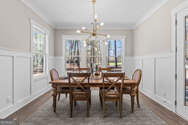 1100 Lake Drive, Greensboro, GA 30642