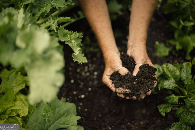 1100 Lake Drive, Greensboro, GA 30642