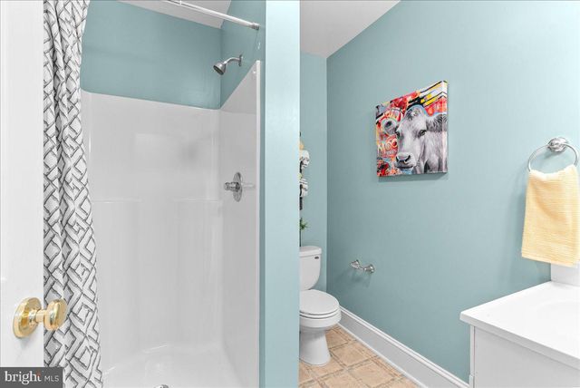 5333 ORKNEY GRADE, Mount Jackson, VA 22842