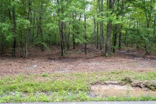 0 Pepper Rd, Taft, TN 38488