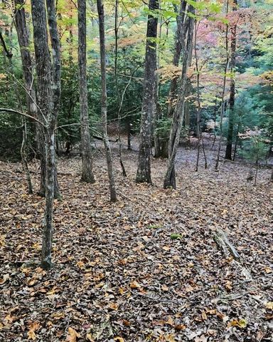 5 Goldmine Road, Morganton, GA 30560