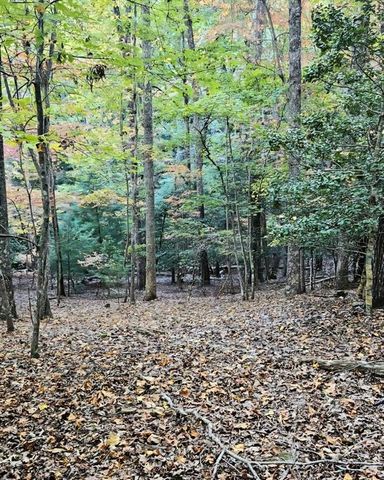 5 Goldmine Road, Morganton, GA 30560
