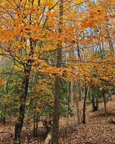 5 Goldmine Road, Morganton, GA 30560