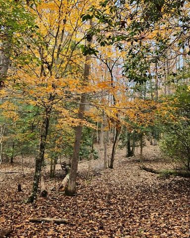 5 Goldmine Road, Morganton, GA 30560