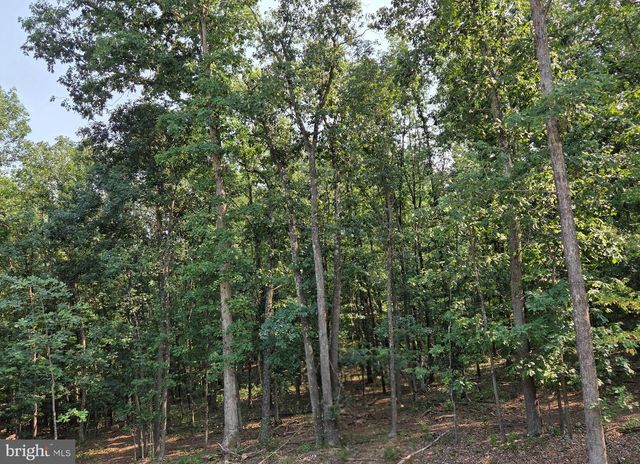 150 FOUR SEASONS DR E, Gore, VA 22637
