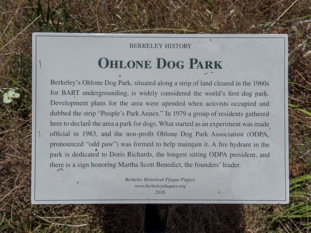 1436 Delaware St, Berkeley, CA 94702