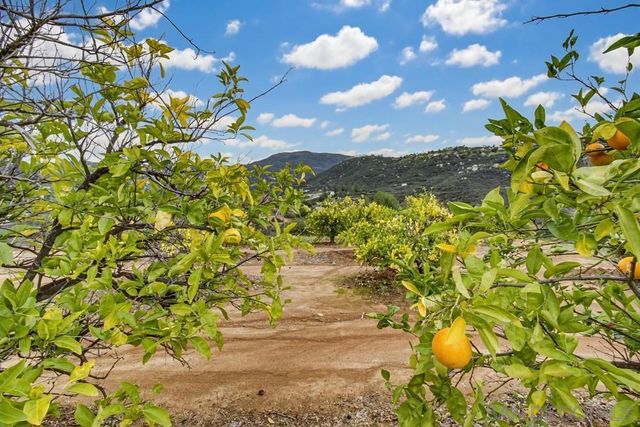 1478 Peutz Valley Rd, Alpine, CA 91901