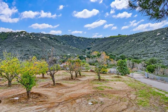 1478 Peutz Valley Rd, Alpine, CA 91901