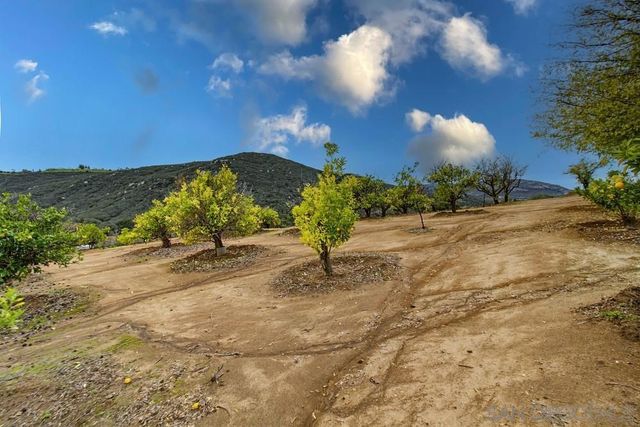 1478 Peutz Valley Rd, Alpine, CA 91901