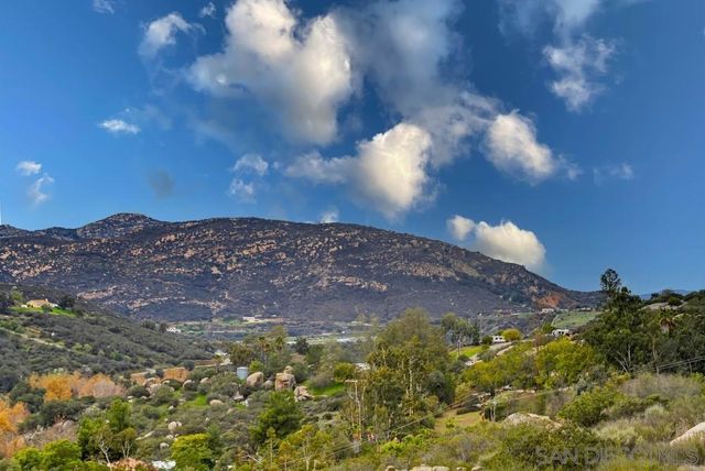 1478 Peutz Valley Rd, Alpine, CA 91901