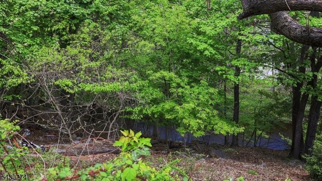 34 Arch St, Butler Boro, NJ 07405