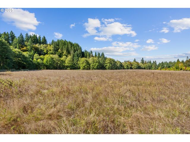 64086 NEHALEM Hwy, Vernonia, OR 97064