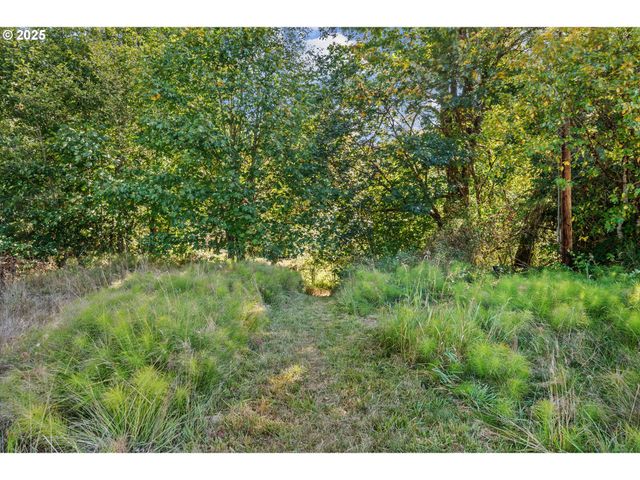 64086 NEHALEM Hwy, Vernonia, OR 97064