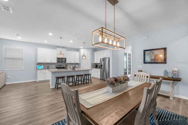 11404 BLUE WOODS DRIVE, Riverview, FL 33569
