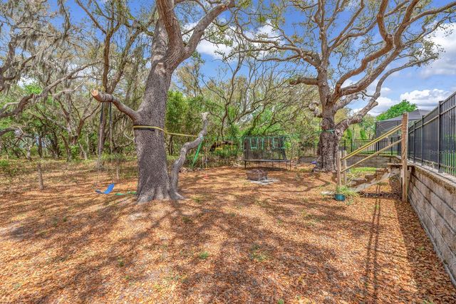 11404 BLUE WOODS DRIVE, Riverview, FL 33569