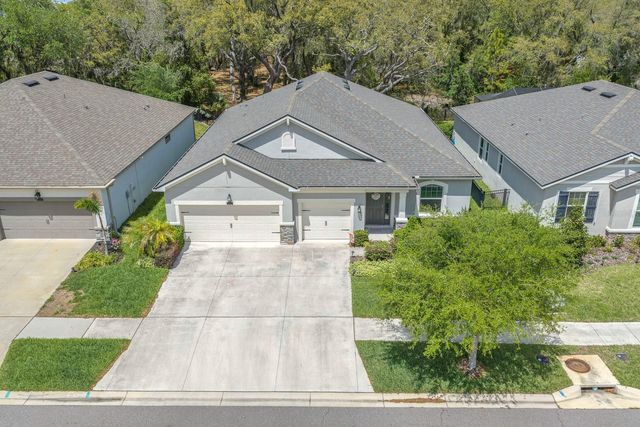 11404 BLUE WOODS DRIVE, Riverview, FL 33569