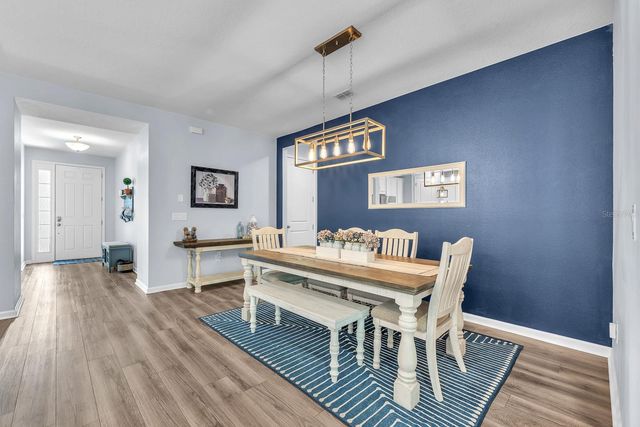 11404 BLUE WOODS DRIVE, Riverview, FL 33569