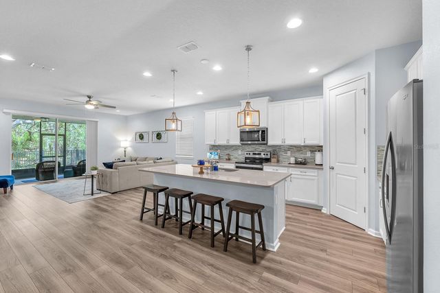 11404 BLUE WOODS DRIVE, Riverview, FL 33569