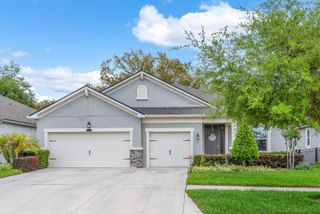 11404 BLUE WOODS DRIVE, Riverview, FL 33569