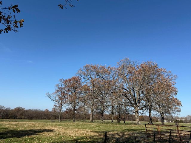 19327 Lawrence 1210, Aurora, MO 65605