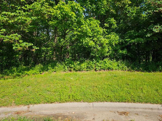 Lot 6 Fox Haven Drive, Mt Vernon, MO 65712