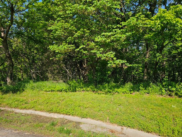 Lot 6 Fox Haven Drive, Mt Vernon, MO 65712