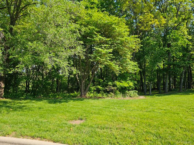 Lot 6 Fox Haven Drive, Mt Vernon, MO 65712