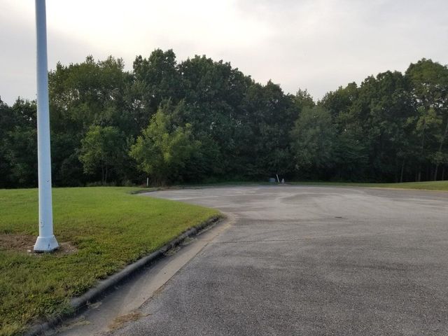 Lot 6 Fox Haven Drive, Mt Vernon, MO 65712