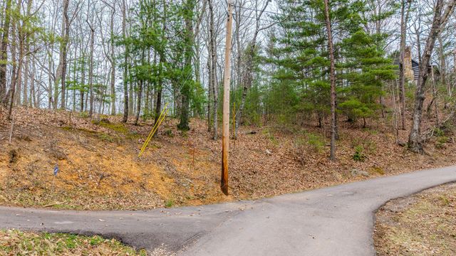 15 S Boogertown Rd, Sevierville, TN 37876