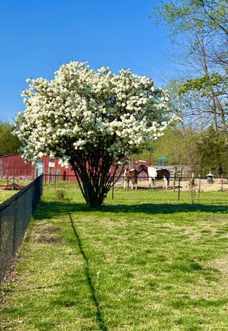 105 Brooklawn Dr, White House, TN 37188
