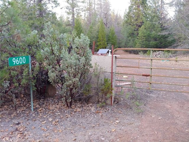 11254 Airstrip Road, Loch Lomond, CA 95461