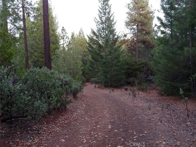 11254 Airstrip Road, Loch Lomond, CA 95461