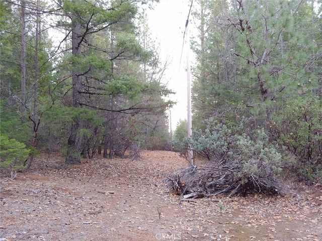 11254 Airstrip Road, Loch Lomond, CA 95461
