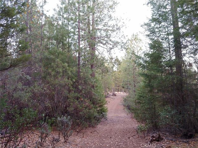 11254 Airstrip Road, Loch Lomond, CA 95461