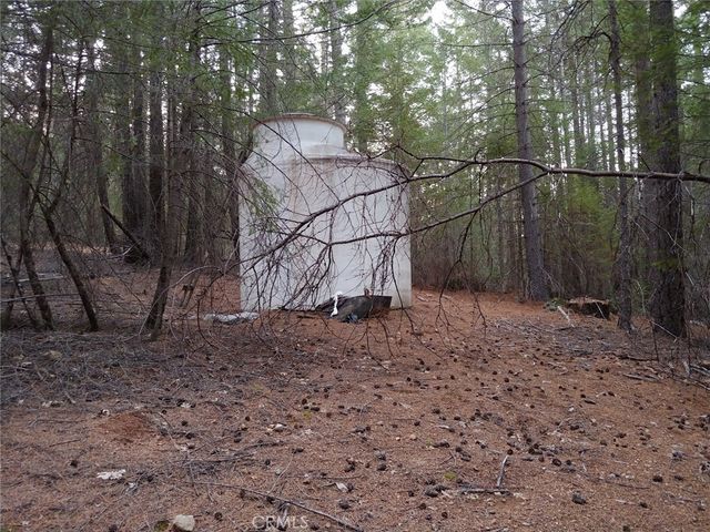 11254 Airstrip Road, Loch Lomond, CA 95461