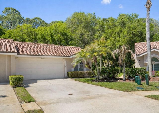 3810 DARSTON STREET, Palm Harbor, FL 34685