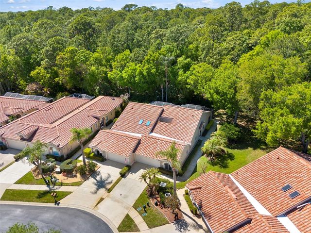 3810 DARSTON STREET, Palm Harbor, FL 34685