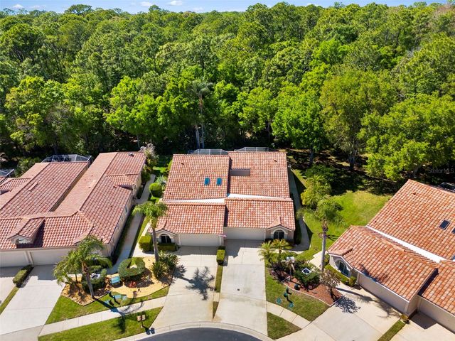 3810 DARSTON STREET, Palm Harbor, FL 34685