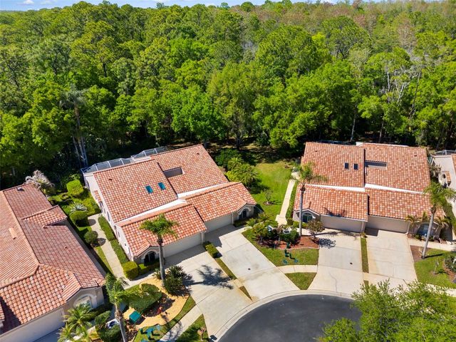 3810 DARSTON STREET, Palm Harbor, FL 34685