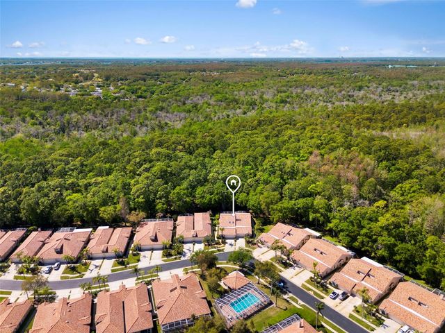 3810 DARSTON STREET, Palm Harbor, FL 34685