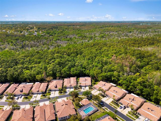 3810 DARSTON STREET, Palm Harbor, FL 34685