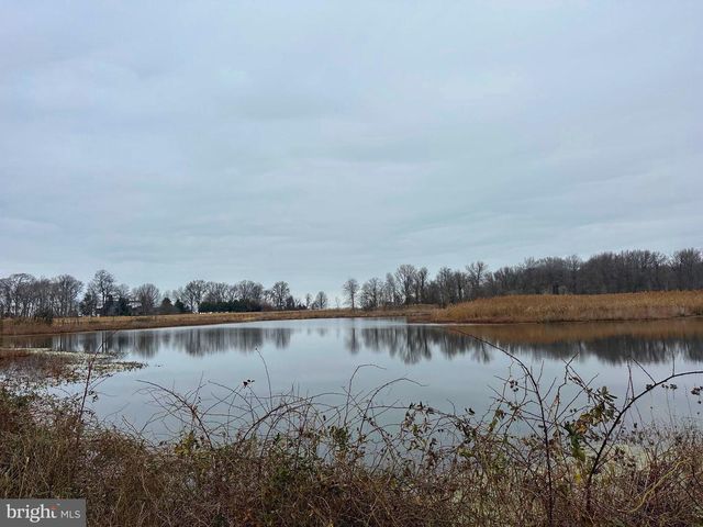 6520 SWAN CREEK RD, Rock Hall, MD 21661